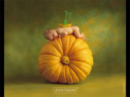Anne Geddes Classic Screensaver - 6 wysokiej jako?ci zdj?? z ... Anne Geddes Classic Screensaver - 6 wysokiej jako?ci zdj?? z ...