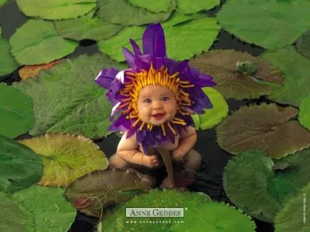 Anne geddes wallpapers - Imagui