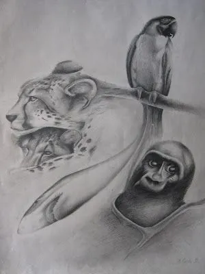 ... el ano 2001 a lapiz graso es un dibujo que pertenece al tema de fusion ... el ano 2001 a lapiz graso es un dibujo que pertenece al tema de fusion
