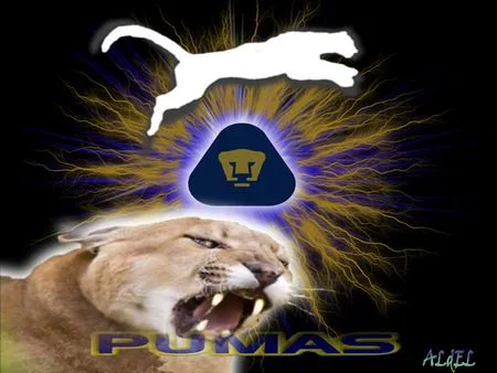 ANOTANDO FÚTBOL *: PUMAS DE LA UNAM * PARTE 1 ANOTANDO FÚTBOL *: PUMAS DE LA UNAM * PARTE 1