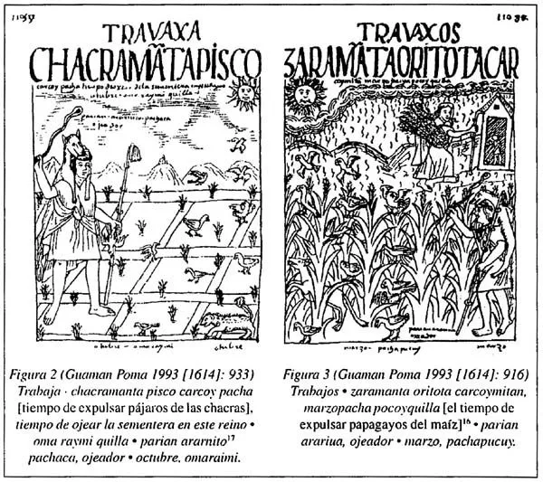 Anthropologica - <B>Tras los pasos del <I>parian</I> en el evento ...