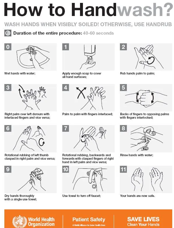 Antibióticos y Vacunas: Lavarse las manos salva vidas: Día mundial ...