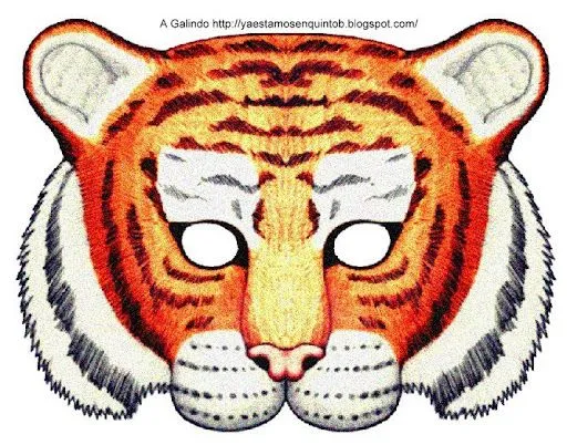 tijger.jpg?imgmax=640