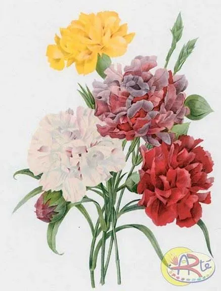 Laminas flores para decoupage - Imagui