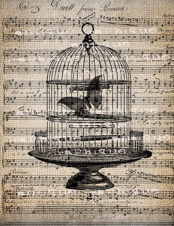 Antique Illustration Insect Moth Bird Cage Music Digital Download ...