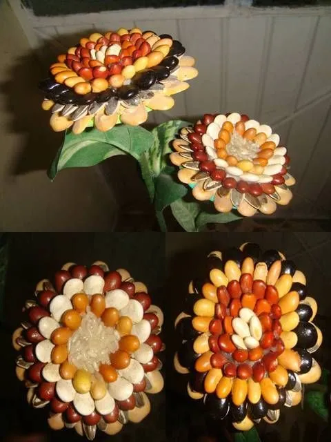 anualidades para la cocina, con semillas - Buscar con Google ... anualidades para la cocina, con semillas - Buscar con Google ...