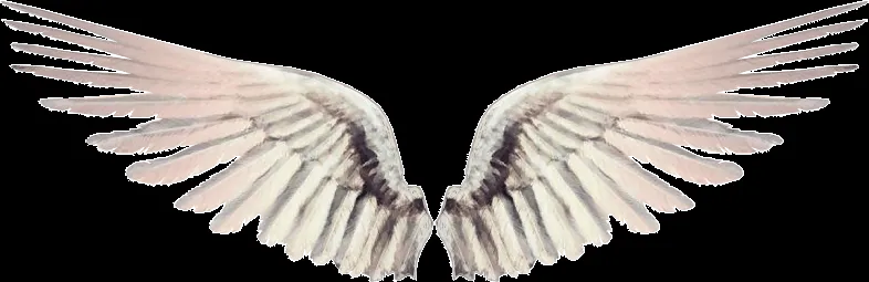 Apaixonados por gifs: Lindas gifs de asas - asas em gif de fadas e ... Apaixonados por gifs: Lindas gifs de asas - asas em gif de fadas e ...