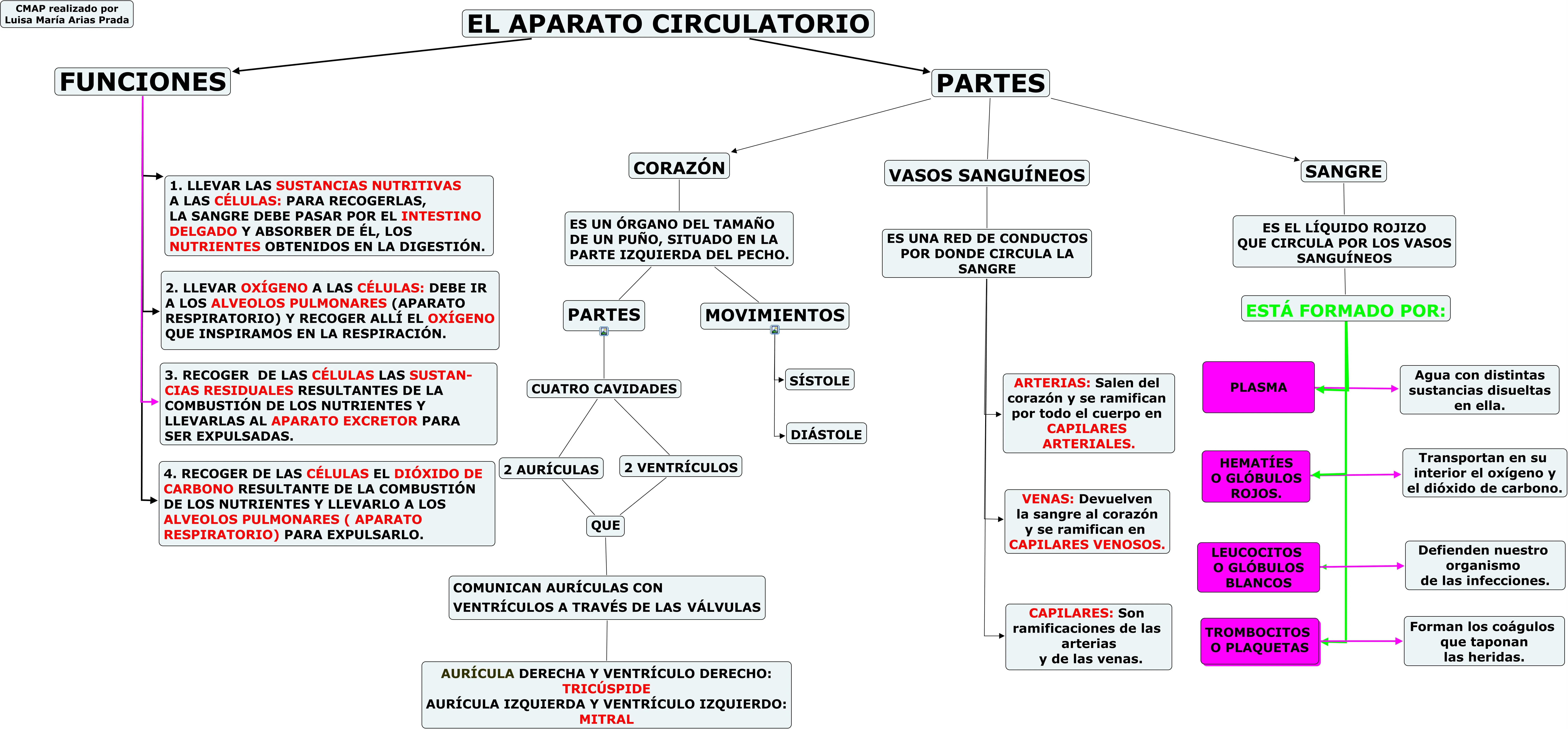 APARATO CIRCULATORIO. MAPA CONCEPTUAL. | JUGANDO Y APRENDIENDO