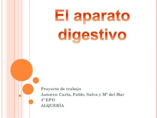 El aparato digestivo