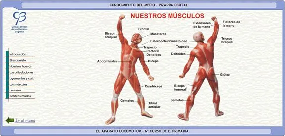 MAESTROAJEDREZ
