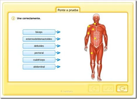 APARATO LOCOMOTOR | JUGANDO Y APRENDIENDO