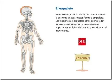 APARATO LOCOMOTOR | JUGANDO Y APRENDIENDO