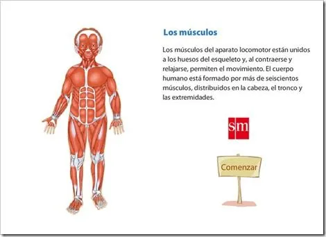 APARATO LOCOMOTOR | JUGANDO Y APRENDIENDO