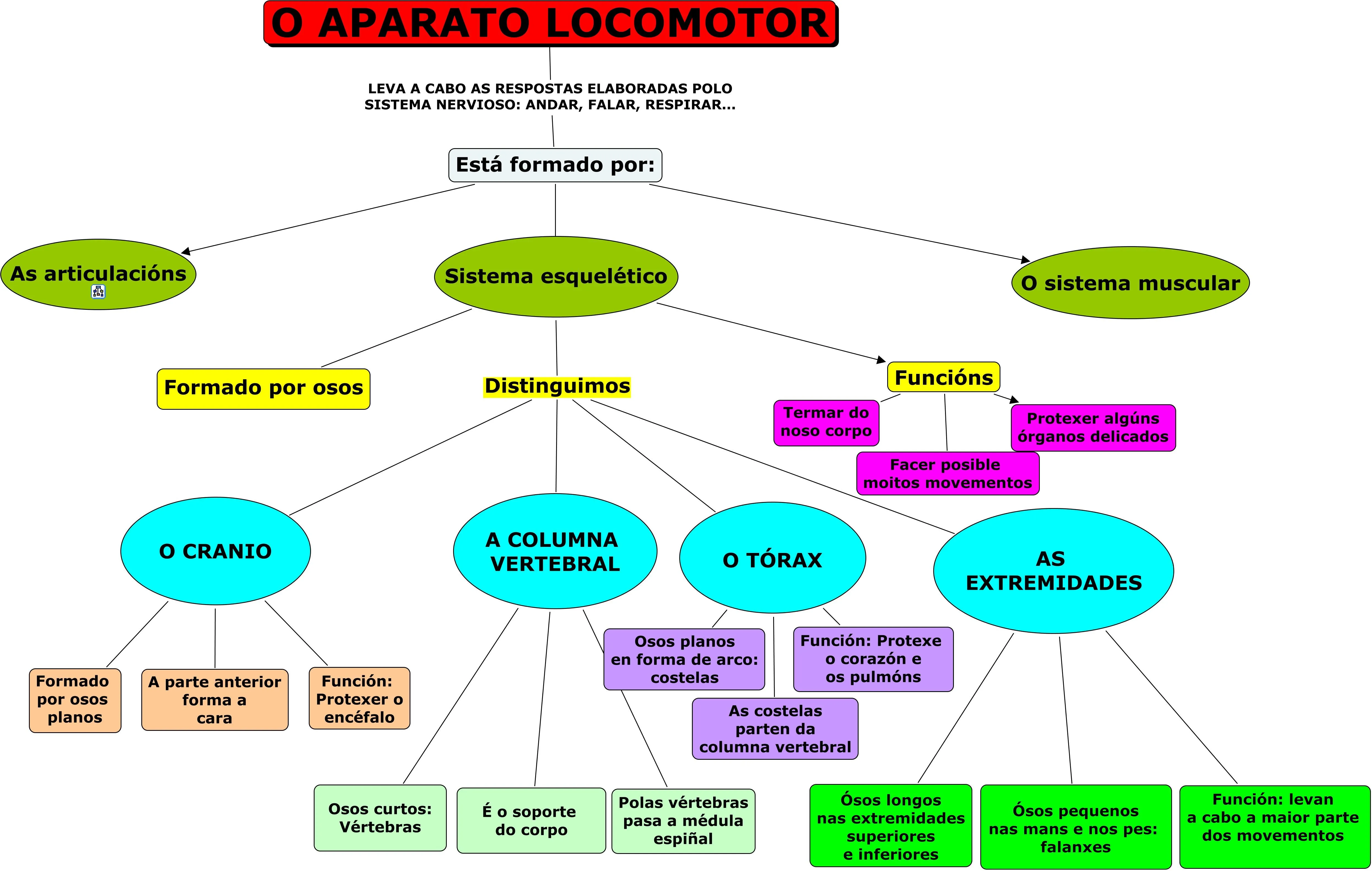 APARATO LOCOMOTOR | JUGANDO Y APRENDIENDO