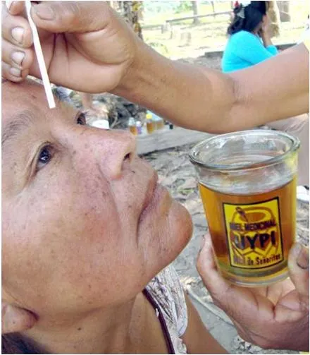 APICULTURA EN MISIONES: Bolivia. Usos medicinales de la miel de ... APICULTURA EN MISIONES: Bolivia. Usos medicinales de la miel de ...