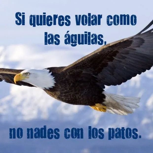 Cómo aplicas esta frase en tu vida? "Si quieres volar como las ...