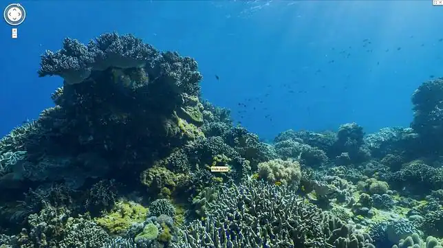 apo-islands--644x362.jpg