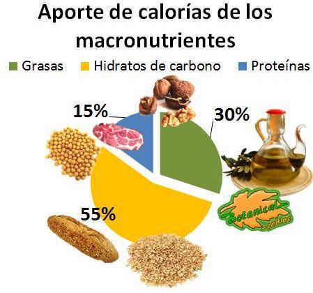 aporte-nutrientes-dieta.jpg