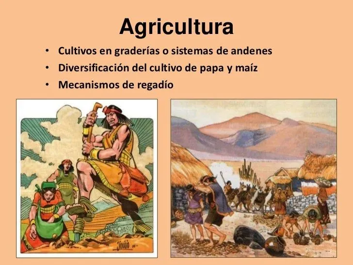 aportes-de-la-cultura-inca-4- ...