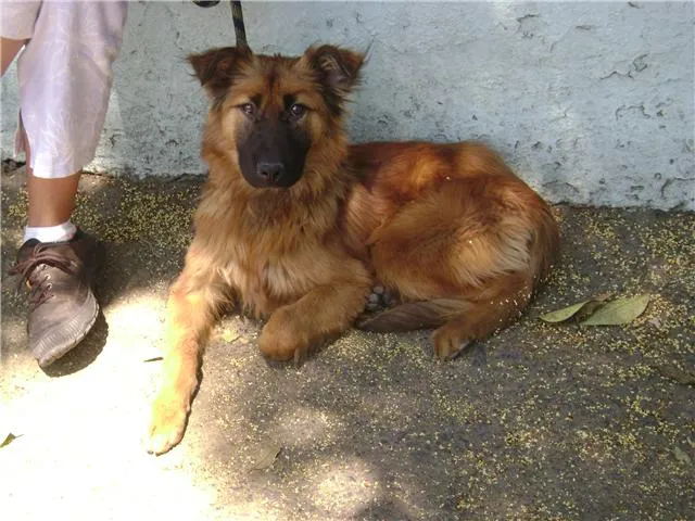 ... oportunidad nadie me ha preguntado por ella amigos de los animales me ... oportunidad nadie me ha preguntado por ella amigos de los animales me