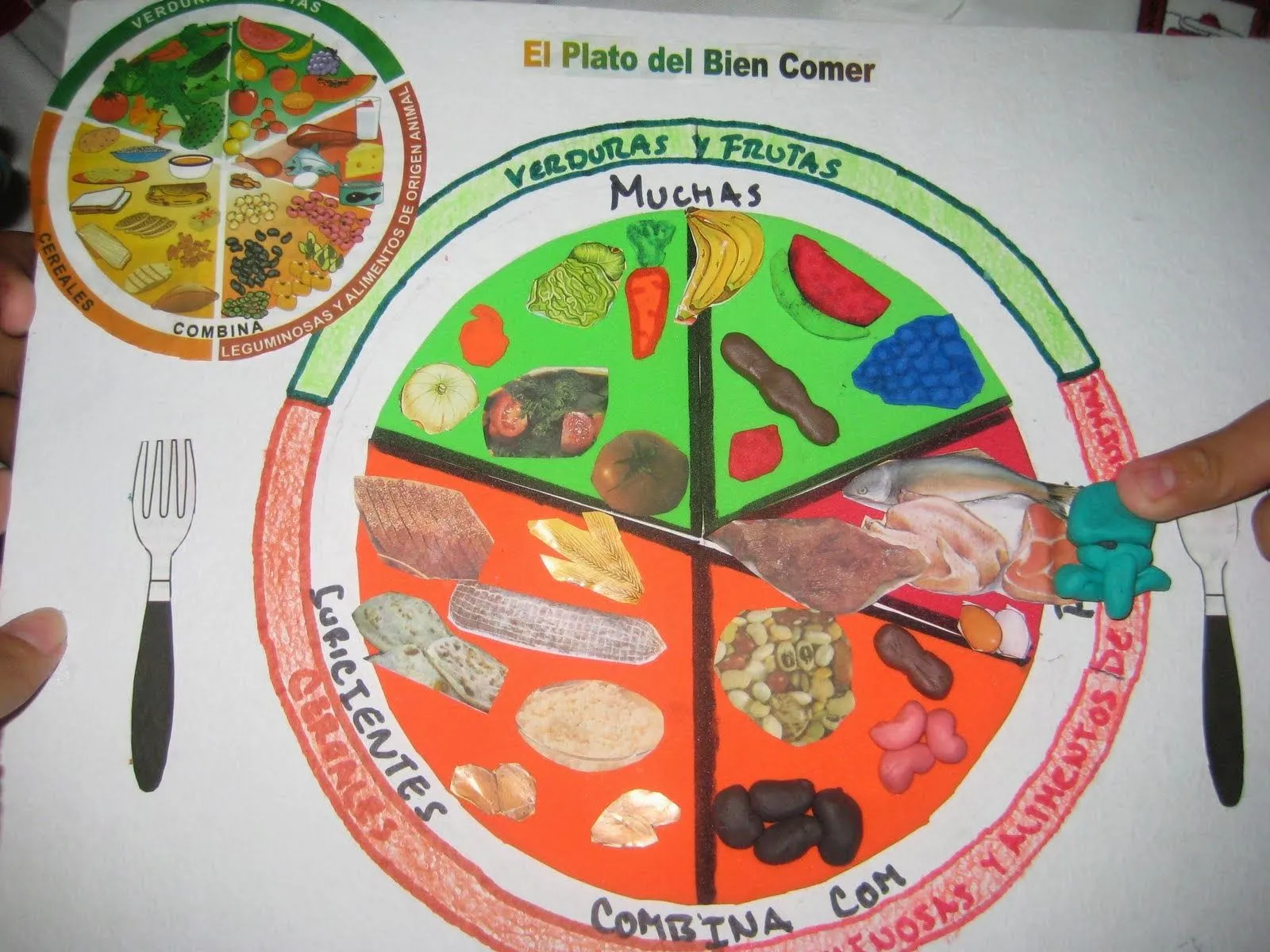 Un apoyo para mis pollos: Alimentación saludable Un apoyo para mis pollos: Alimentación saludable