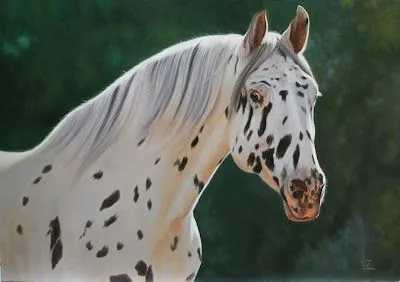 Appaloosa, Óleo Sobre Lienzo. Walter Zuluaga. Pintor Colombiano. Arte en Caballo Colombiano.Pintura al Óleo de Caballos.