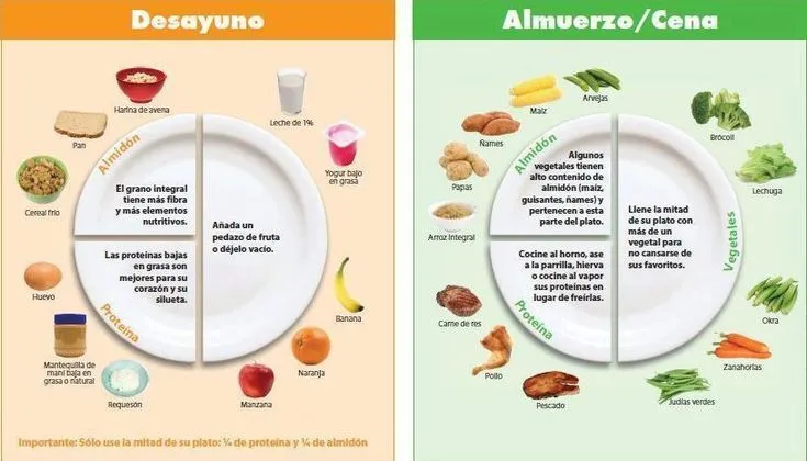 Aprendan a armar el menú cotidiano basado en el modelo del plato ...