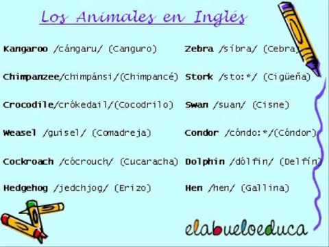Aprende los animales en inglés con elabueloeduca - YouTube Aprende los animales en inglés con elabueloeduca - YouTube