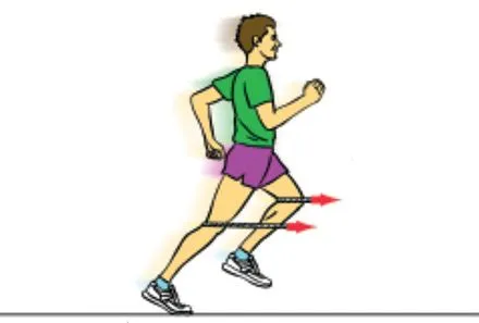 aprende a correr mejor | zorbaelbuda