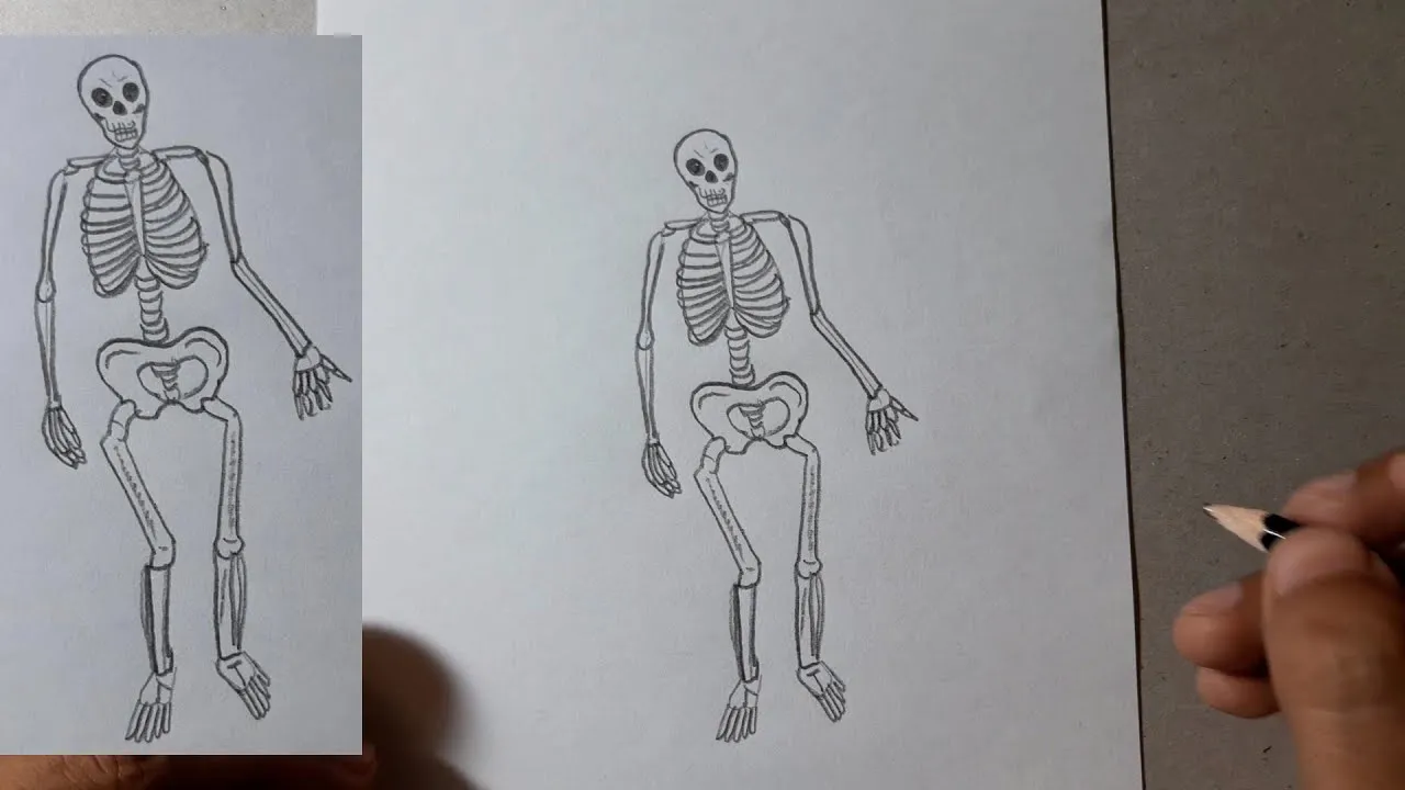 Aprende a dibujar fácil un esqueleto humano | HD - YouTube Aprende a dibujar fácil un esqueleto humano | HD - YouTube