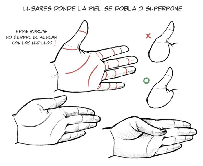 Aprende a dibujar manos y pies | Art Rocket