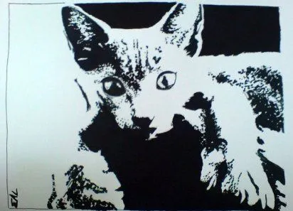 Dibujos con tinta china de animales - Imagui