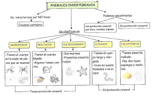 Repasa con los profes del cole: 3º Conocimiento del medio Repasa con los profes del cole: 3º Conocimiento del medio