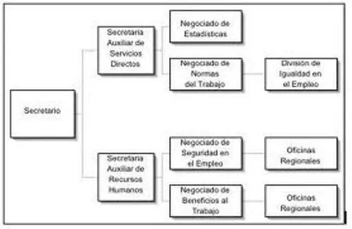 Aprende Facilmente Como se Hace un Esquema