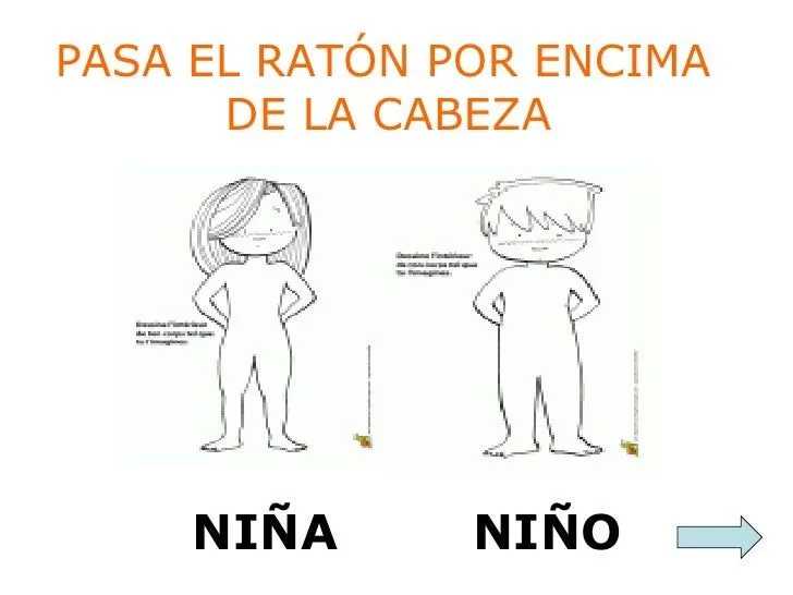 aprende-las-partes-del-cuerpo- ...