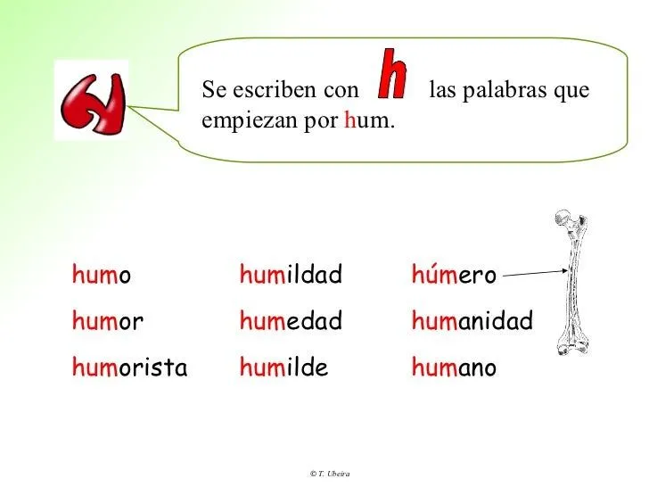 aprende-las-reglas-de- ...
