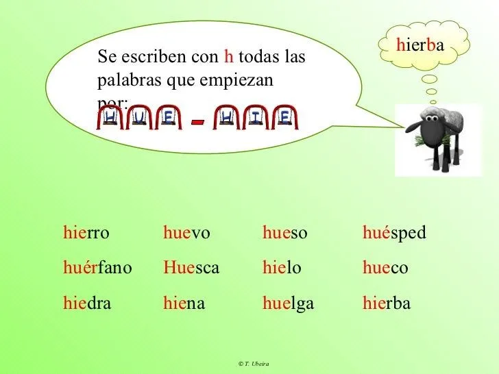 aprende-las-reglas-de- ...