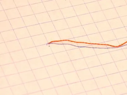 Aprender punto de cruz - Imagui