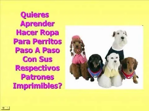 Aprende Como Hacer Ropa Para Perros Paso A Paso AQUI - YouTube