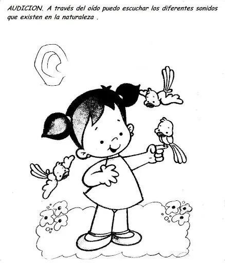APRENDE LOS 5 SENTIDOS PARA NIÑOS
