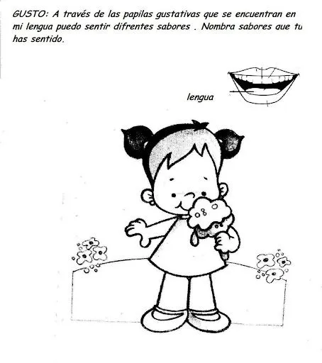 APRENDE LOS 5 SENTIDOS PARA NIÑOS