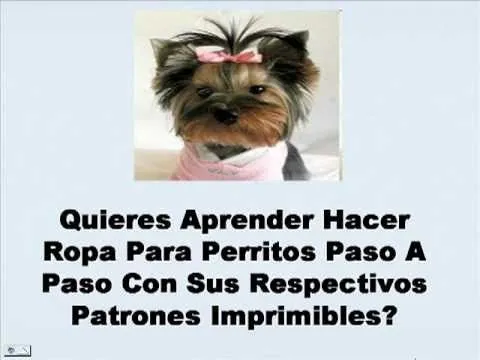 Aprende Hacer Vestidos Para Perros Paso A Paso Con Patrones - YouTube