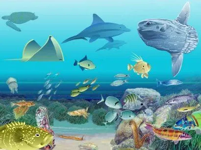 Dibujo ecosistema acuatico - Imagui