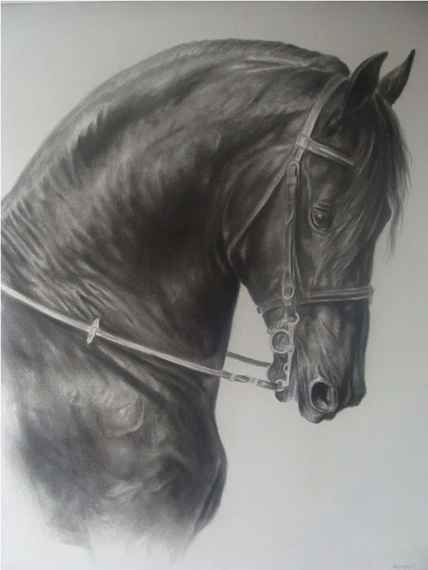 Cuadros de caballos en carboncillo | El club del arte, pinturas