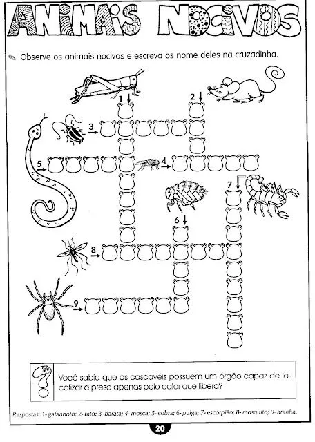 A ARTE DE EDUCAR: Atividades de Ciências sobre os animais ... A ARTE DE EDUCAR: Atividades de Ciências sobre os animais ...