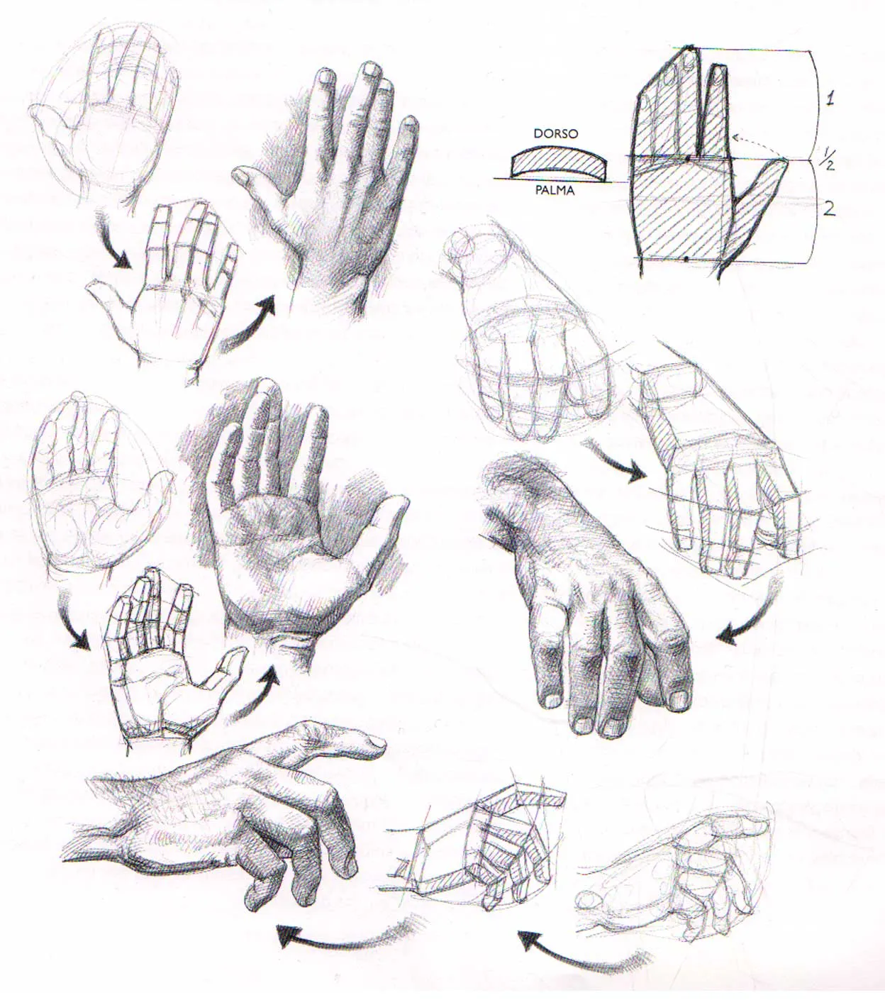 Aprender a dibujar manos y pies | El Dibujante 2.0