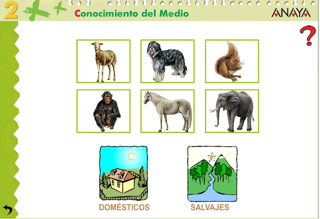 APRENDER ES DIVERTIDO 1º Y 2º: Animales domésticos y animales ...