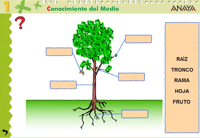 APRENDER ES DIVERTIDO 1º Y 2º: marzo 2013