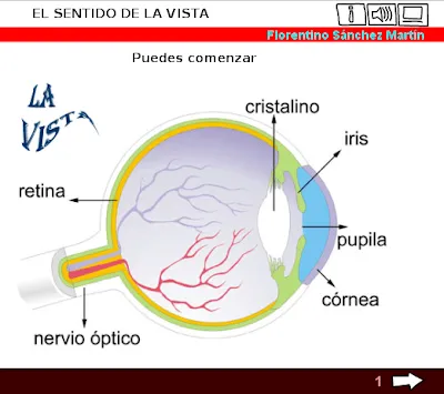 APRENDER ES DIVERTIDO: 12/