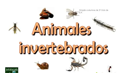 APRENDER ES DIVERTIDO: ANIMALES INVERTEBRADOS 3 (